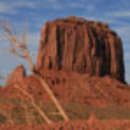 Casserole Restaurant and Bar