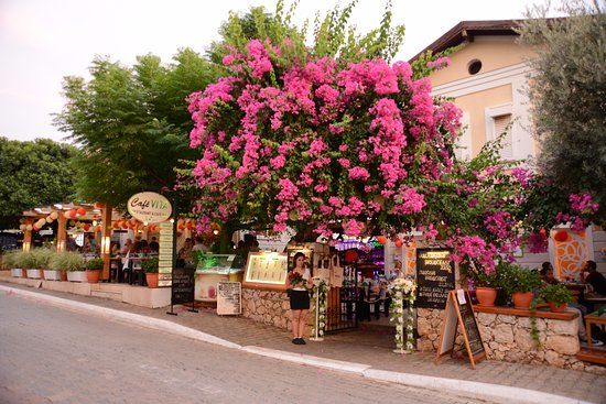 Cafe Vita Restaurant