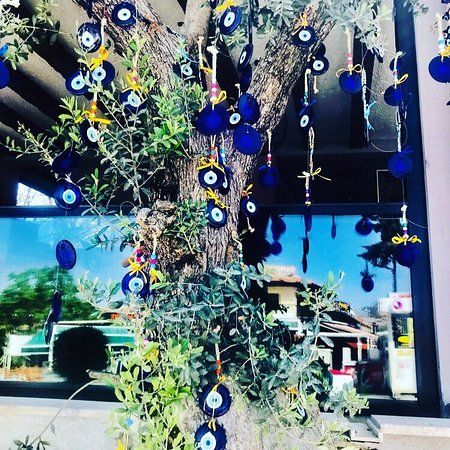 The Lemon Tree Hisarönü