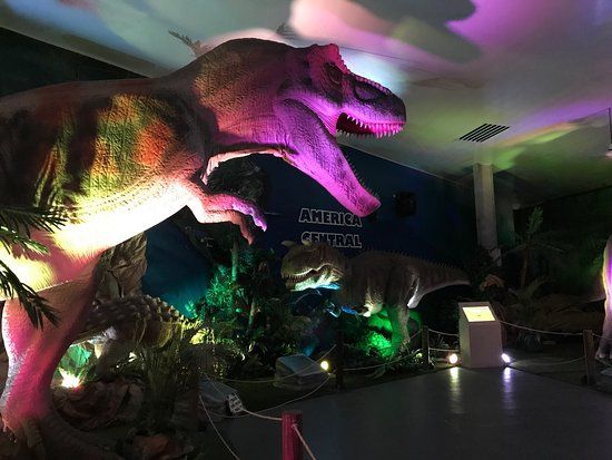 Tin Marin Çocuk Müzesi