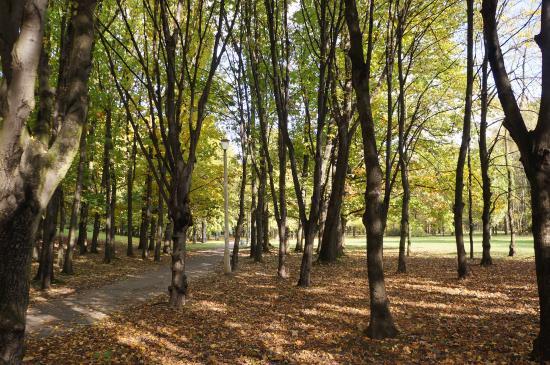 Lotnikow Polskich Parkı