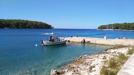 Cikat Ormanı Parkı