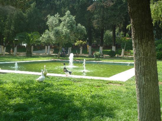Büyük Antakya Parkı
