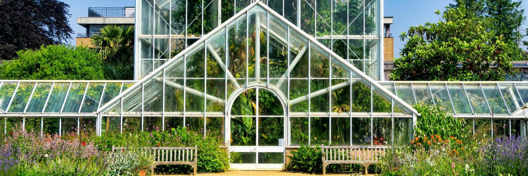 Üniversite Botanik Bahçeleri