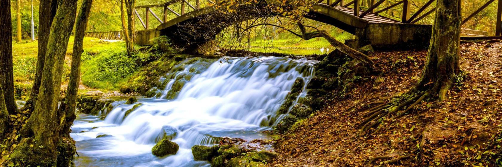 Bosna Nehri Kaynağı