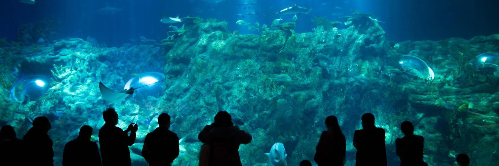 Kuveyt Bilim Merkezi