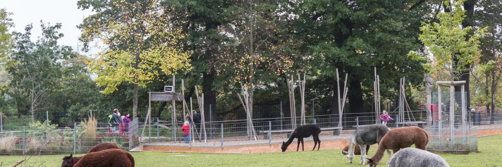 Wilhelma Hayvanat Bahçesi