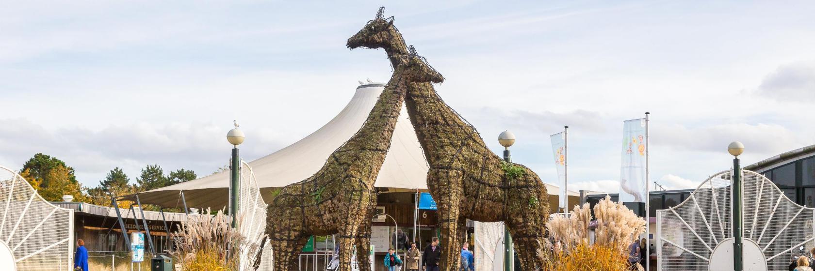 Rotterdam Hayvanat Bahçesi