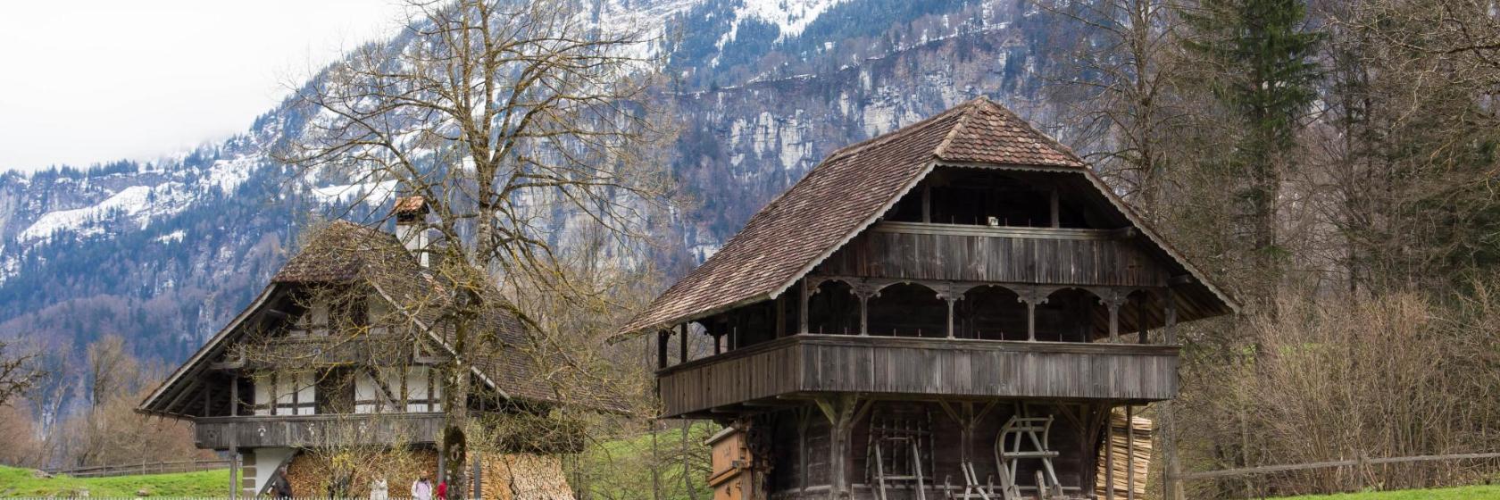 Ballenberg Açıkhava Müzesi