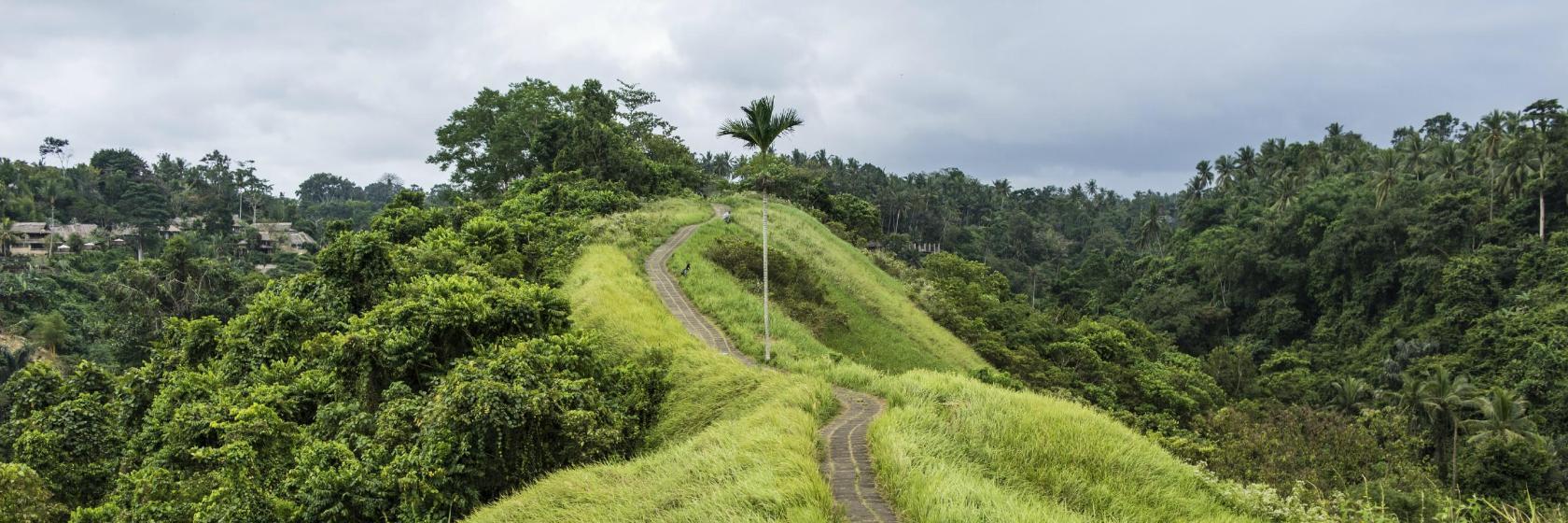 Campuhan Tepesi Yürüyüş Yolu
