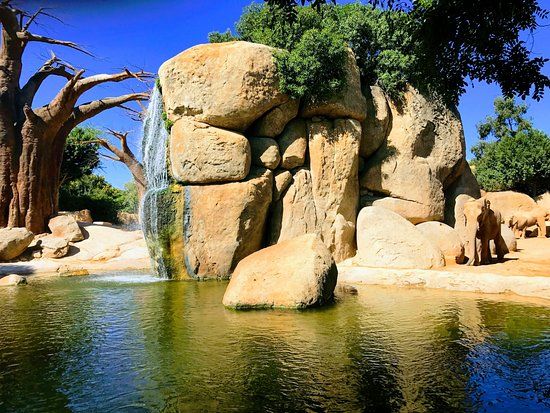 Bioparc Valencia Hayvanat Bahçesi