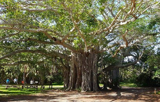Hugh Taylor Birch Eyalet Parkı