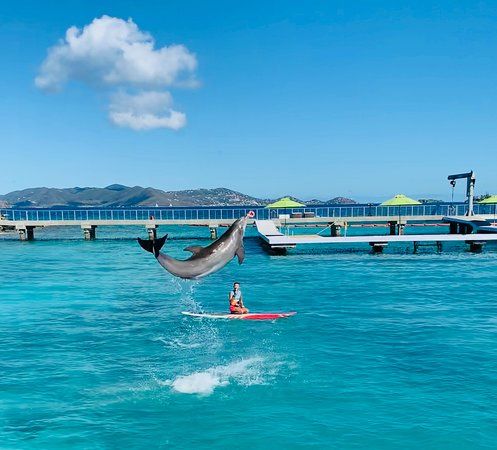 Coral World Ocean Parkı
