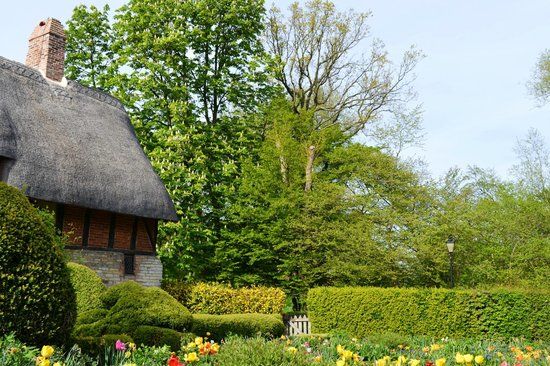 Anne Hathaway'in Kulübesi