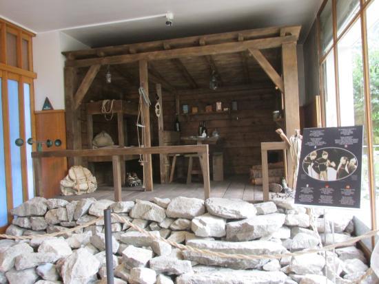 Chamonix Alpine Müzesi