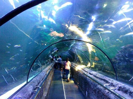 Taman Impian Jaya Ancol Eğlence Parkı