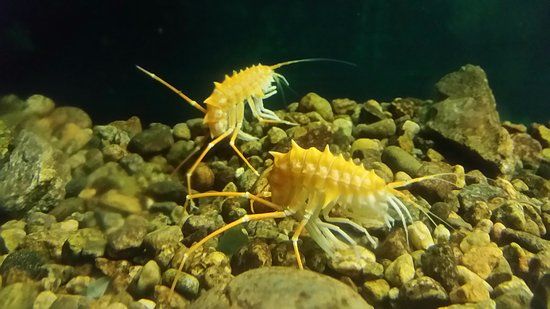 Maison de la Pêche et de la Nature