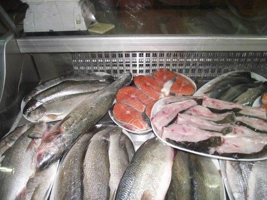 Hancıoğlu Çamburnu Tesisleri