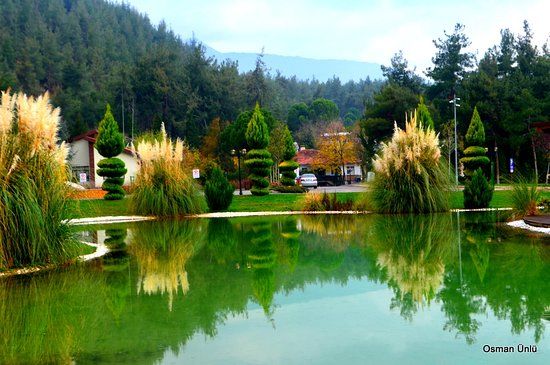 Çamlık Mesire Yeri