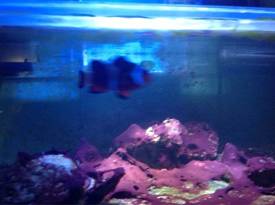 Oceanography Center Open Ocean