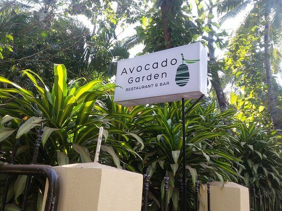 Avocado Garden Restaurant & Bar