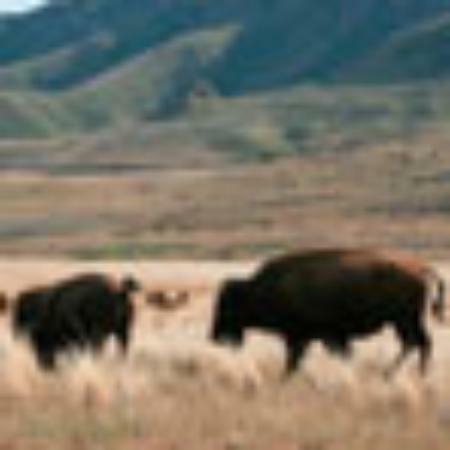 Hotel Annamalai Restaurant